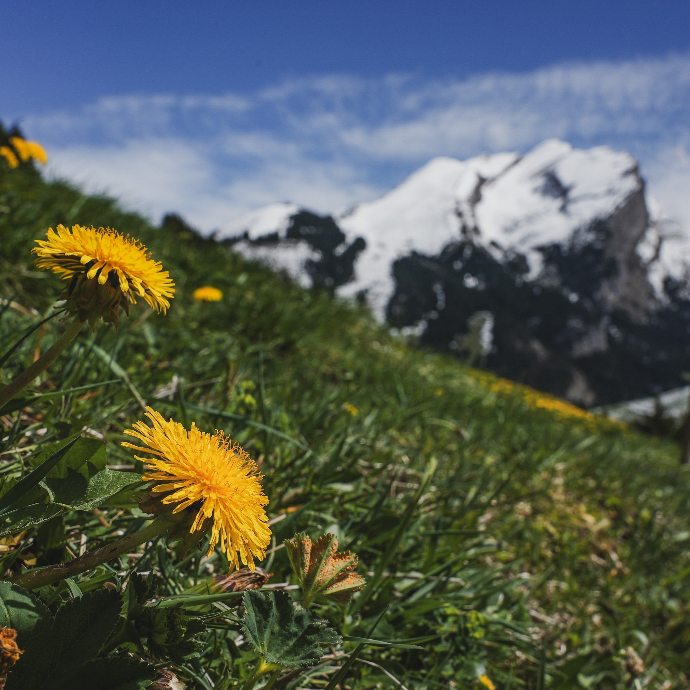 Best Trail Running Routes