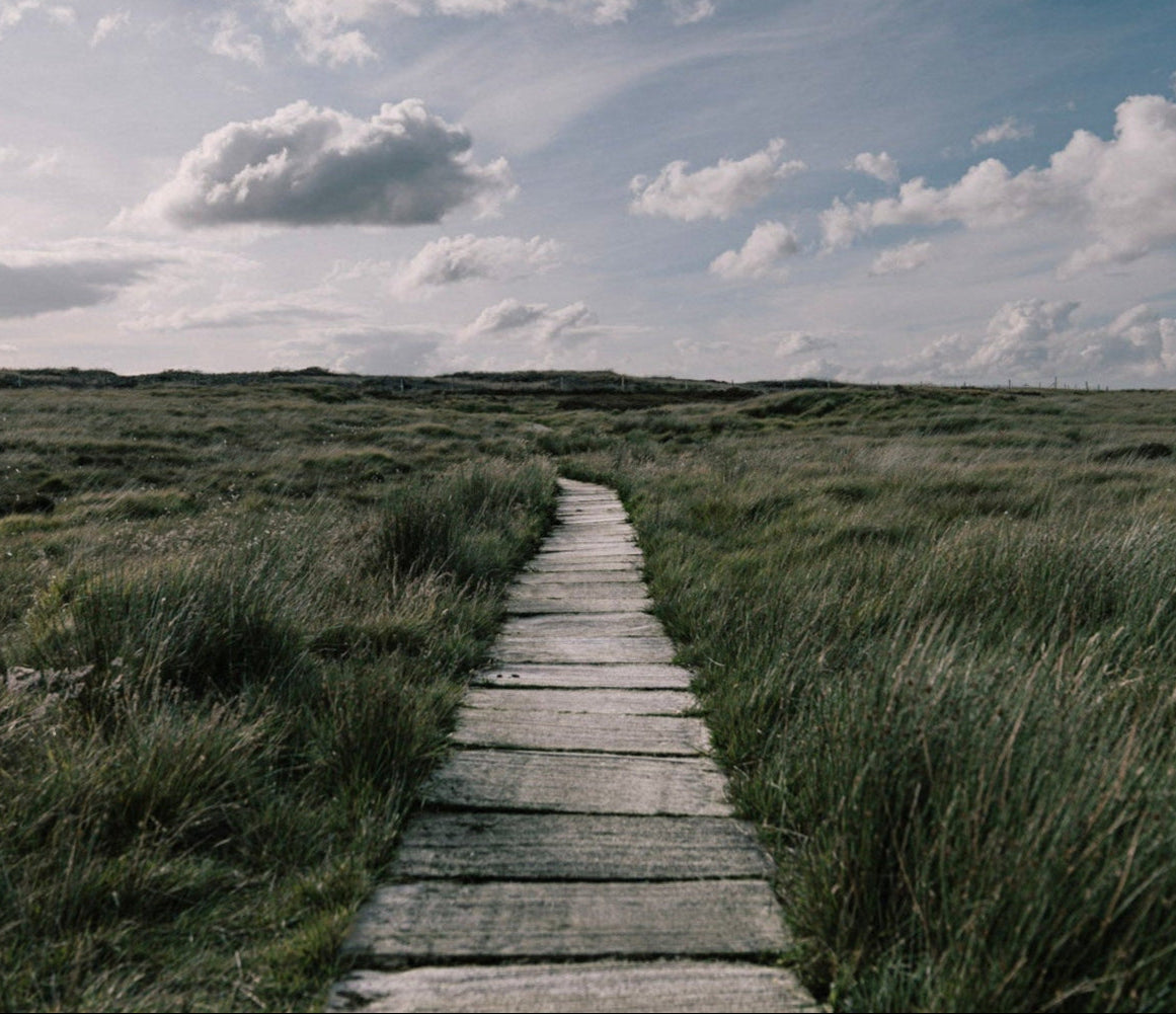 Wooden path through grassy field with cloudy sky