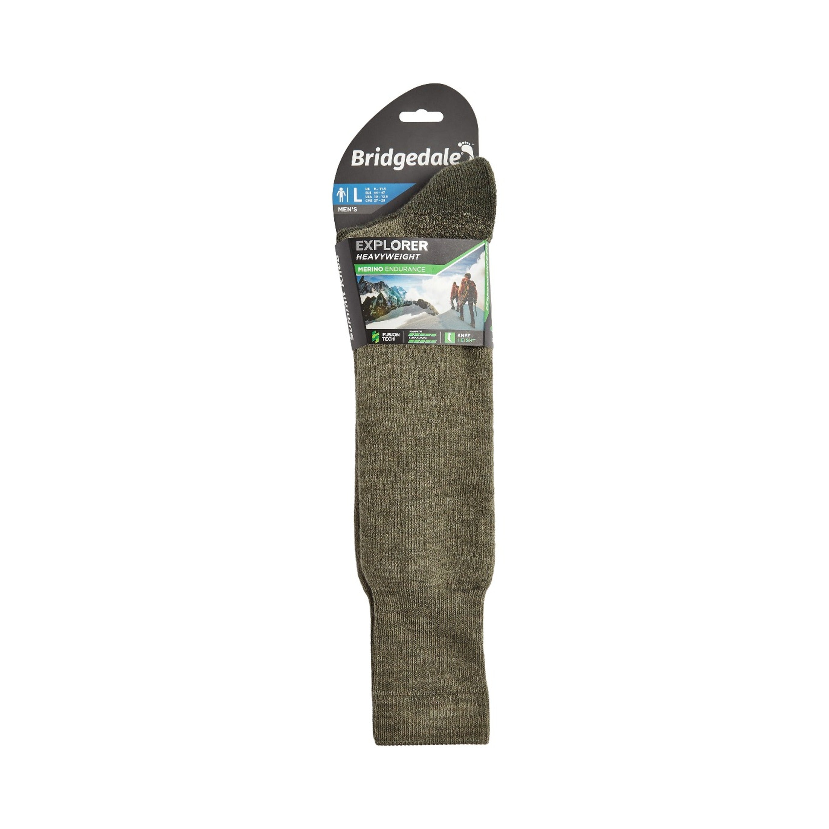 Bridgedale explorer 2025